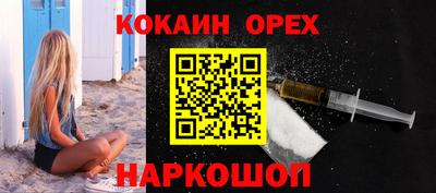 крисы Новодвинск