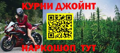 крисы Новодвинск