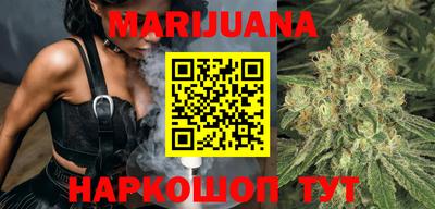 крисы Новодвинск