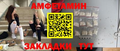 крисы Новодвинск